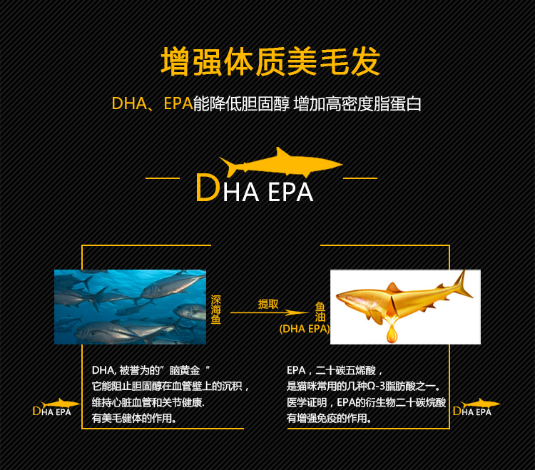 AG发财网宠物食品有限公司